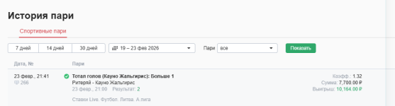 отчет по кауно.png